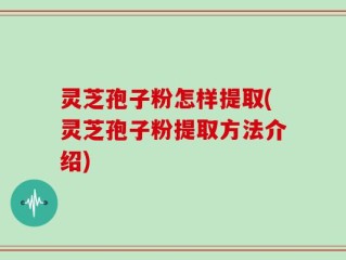 灵芝孢子粉怎样提取(灵芝孢子粉提取方法介绍)