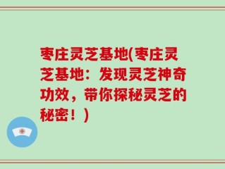 枣庄灵芝基地(枣庄灵芝基地：发现灵芝神奇功效，带你探秘灵芝的秘密！)