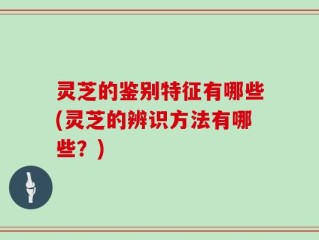灵芝的鉴别特征有哪些(灵芝的辨识方法有哪些？)