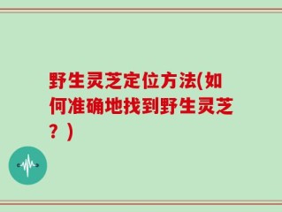 野生灵芝定位方法(如何准确地找到野生灵芝？)