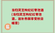当归灵芝枸杞红枣泡酒(当归灵芝枸杞红枣泡酒，滋补养颜享受秋日暖意)