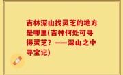 吉林深山找灵芝的地方是哪里(吉林何处可寻得灵芝？——深山之中寻宝记)