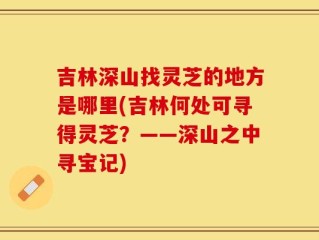 吉林深山找灵芝的地方是哪里(吉林何处可寻得灵芝？——深山之中寻宝记)