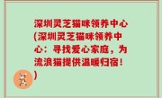 深圳灵芝猫咪领养中心(深圳灵芝猫咪领养中心：寻找爱心家庭，为流浪猫提供温暖归宿！)