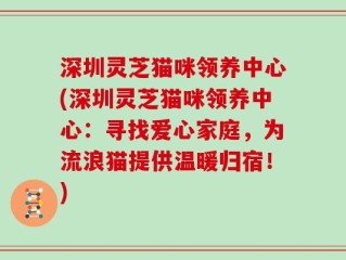 深圳灵芝猫咪领养中心(深圳灵芝猫咪领养中心：寻找爱心家庭，为流浪猫提供温暖归宿！)