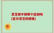 灵芝硬不硬哪个区别吗(区分灵芝的硬度)