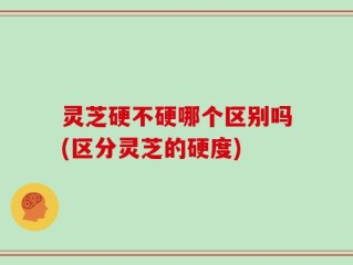 灵芝硬不硬哪个区别吗(区分灵芝的硬度)