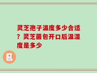灵芝孢子温度多少合适？灵芝菌包开口后温湿度是多少