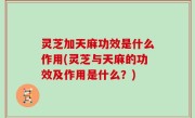 灵芝加天麻功效是什么作用(灵芝与天麻的功效及作用是什么？)