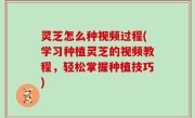 灵芝怎么种视频过程(学习种植灵芝的视频教程，轻松掌握种植技巧)