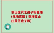 靠山庄灵芝孢子粉直播(现场直播丨探秘靠山庄灵芝孢子粉)