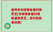 盘州市石桥镇鱼塘村路灵芝(石桥镇鱼塘村路现涌现灵芝，近村民前来抢摘)