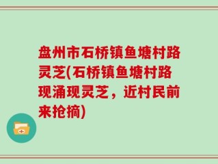 盘州市石桥镇鱼塘村路灵芝(石桥镇鱼塘村路现涌现灵芝，近村民前来抢摘)