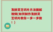 发酵灵芝切片方法图解视频(如何制作发酵灵芝切片教你一步一步做！)