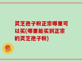 灵芝孢子粉正宗哪里可以买(哪里能买到正宗的灵芝孢子粉)
