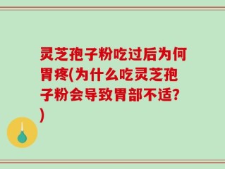 灵芝孢子粉吃过后为何胃疼(为什么吃灵芝孢子粉会导致胃部不适？)