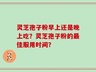 灵芝孢子粉早上还是晚上吃？灵芝孢子粉的最佳服用时间？