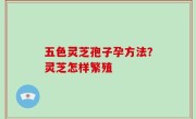 五色灵芝孢子孕方法？灵芝怎样繁殖