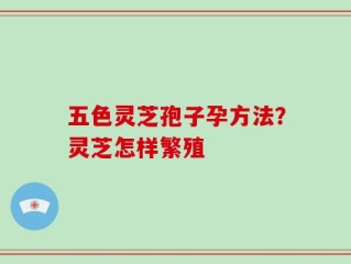 五色灵芝孢子孕方法？灵芝怎样繁殖