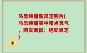 马思纯甜酸灵芝照片(马思纯甜笑中带点灵气，网友调侃：绝配灵芝)