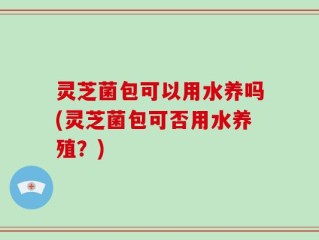 灵芝菌包可以用水养吗(灵芝菌包可否用水养殖？)