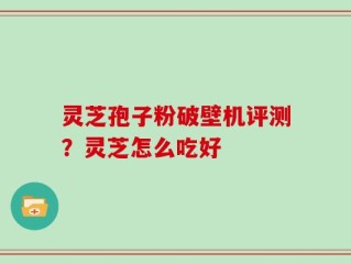 灵芝孢子粉破壁机评测？灵芝怎么吃好