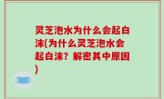 灵芝泡水为什么会起白沫(为什么灵芝泡水会起白沫？解密其中原因)