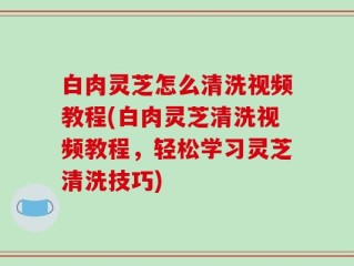 白肉灵芝怎么清洗视频教程(白肉灵芝清洗视频教程，轻松学习灵芝清洗技巧)
