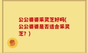 公公婆婆采灵芝好吗(公公婆婆是否适合采灵芝？)