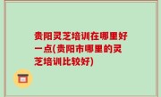 贵阳灵芝培训在哪里好一点(贵阳市哪里的灵芝培训比较好)