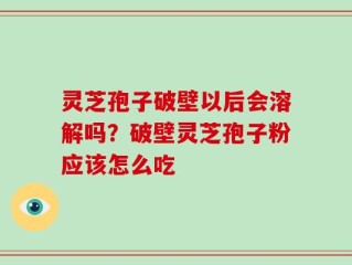 灵芝孢子破壁以后会溶解吗？破壁灵芝孢子粉应该怎么吃