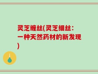 灵芝缠丝(灵芝细丝：一种天然药材的新发现)