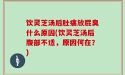 饮灵芝汤后肚痛放屁臭什么原因(饮灵芝汤后腹部不适，原因何在？)