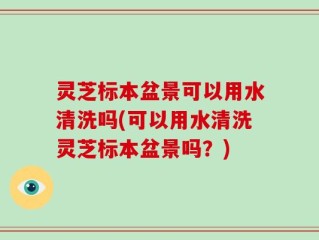 灵芝标本盆景可以用水清洗吗(可以用水清洗灵芝标本盆景吗？)