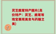 灵芝鹿茸特产图片(高价特产：灵芝、鹿茸等瑰宝展现美食与药膳之美)