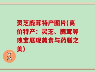 灵芝鹿茸特产图片(高价特产：灵芝、鹿茸等瑰宝展现美食与药膳之美)