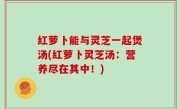 红萝卜能与灵芝一起煲汤(红萝卜灵芝汤：营养尽在其中！)