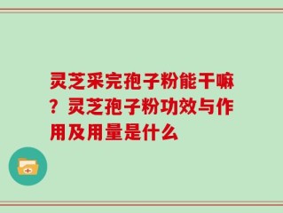 灵芝采完孢子粉能干嘛？灵芝孢子粉功效与作用及用量是什么