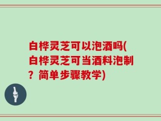 白桦灵芝可以泡酒吗(白桦灵芝可当酒料泡制？简单步骤教学)