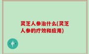 灵芝人参治什么(灵芝人参的疗效和应用)