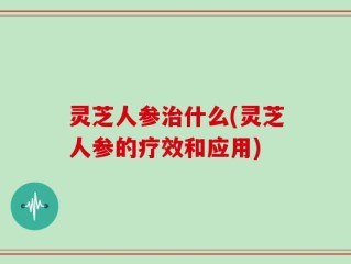 灵芝人参治什么(灵芝人参的疗效和应用)