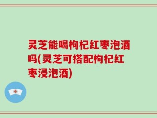 灵芝能喝枸杞红枣泡酒吗(灵芝可搭配枸杞红枣浸泡酒)