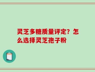 灵芝多糖质量评定？怎么选择灵芝孢子粉