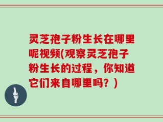 灵芝孢子粉生长在哪里呢视频(观察灵芝孢子粉生长的过程，你知道它们来自哪里吗？)