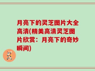 月亮下的灵芝图片大全高清(精美高清灵芝图片欣赏：月亮下的奇妙瞬间)
