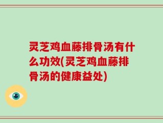 灵芝鸡血藤排骨汤有什么功效(灵芝鸡血藤排骨汤的健康益处)