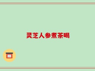 灵芝人参煮茶喝