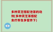 多种灵芝搭配泡茶的功效(多种灵芝茶搭配 食疗养生多管齐下)