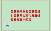 灵芝孢子粉和灵芝菌丝？灵芝从古至今发展过程分哪五个阶段