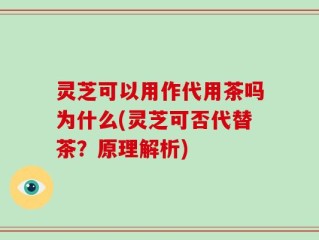 灵芝可以用作代用茶吗为什么(灵芝可否代替茶？原理解析)